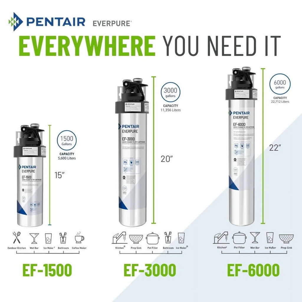 Everpure EF-6000 Drinking Liquid System