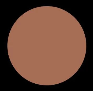 G & J COSMETICS COOL NEAUTRAL BRONZER INSTANT SEXY