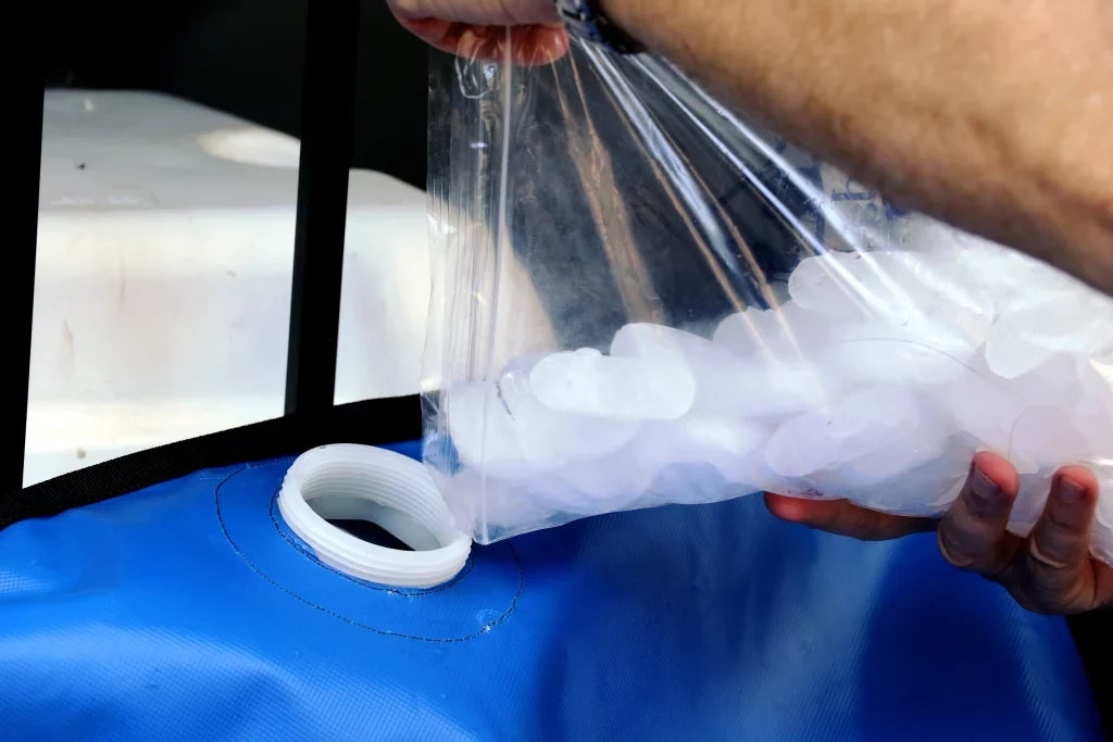 Fluid Storage Bladder