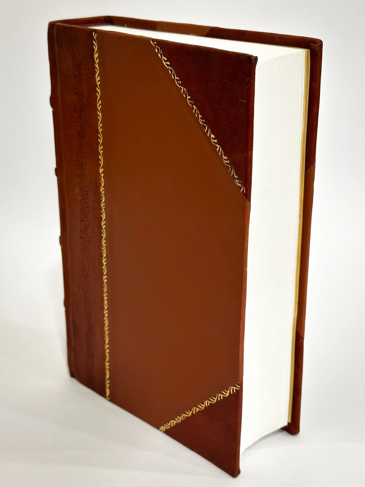 Revue Suisse De Zoologie / Schweizerische Zoologische Gesellschaft,MuseUm D'Histoire Naturelle De GeneVe (1893) (1893) Volume 6 [Leather Bound]