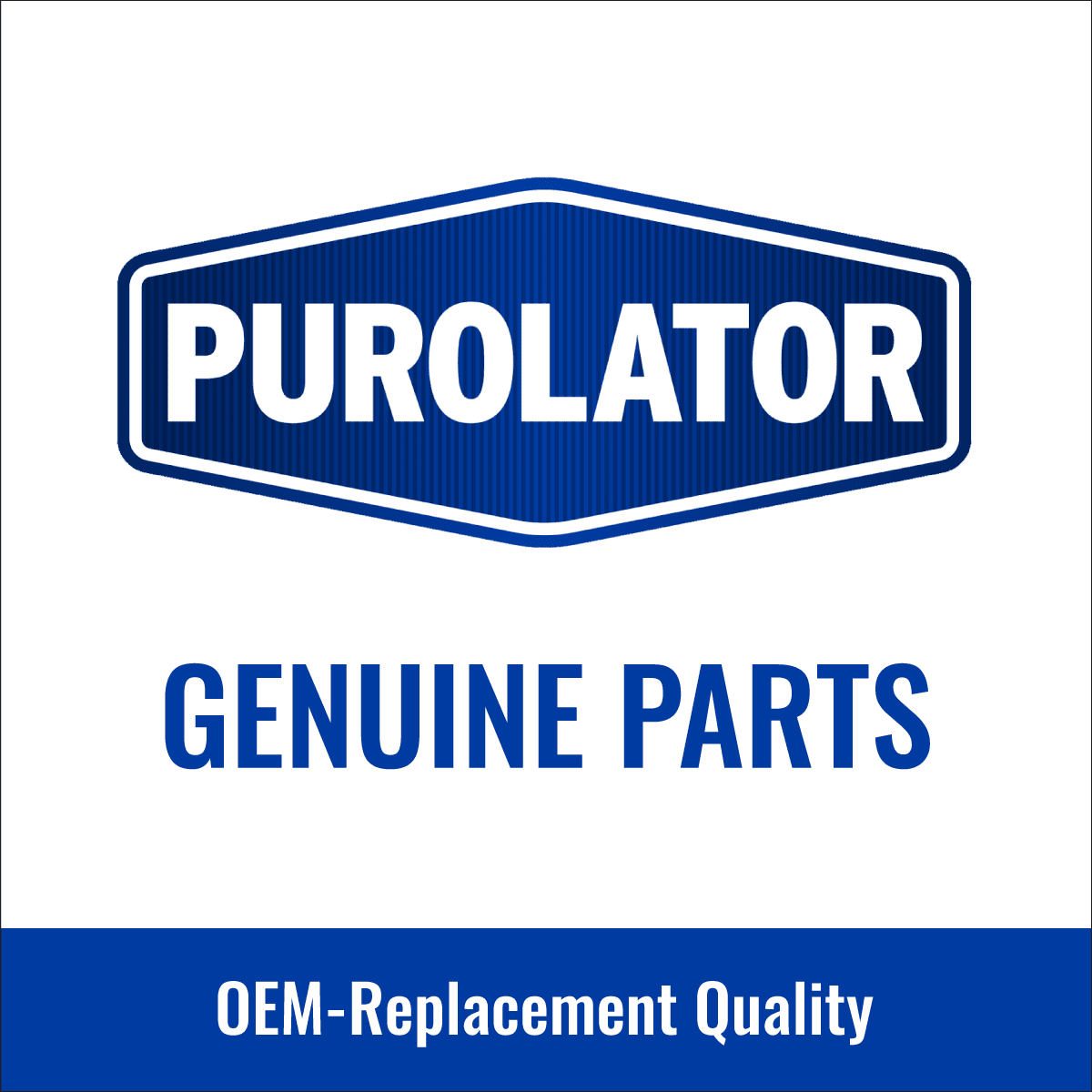 3 pc Purolator TECH TA36165 Air Filters for 29737 33-2462 4861737AA 49737 61949737 83737 9737 A5198 AF1490 AF5198 AF6165 CA11050 MA6165 MGA49737 P9737 PA6165 PAF6165 R83737 SA5198 VA6165 WAF5198
