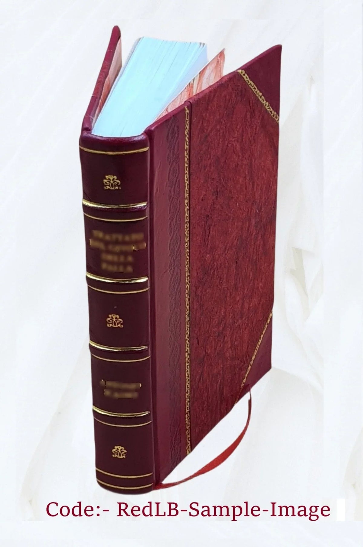 Goethe, Humboldt, Darwin, Haeckel: Vier Vorträge 1904 [Leather Bound]