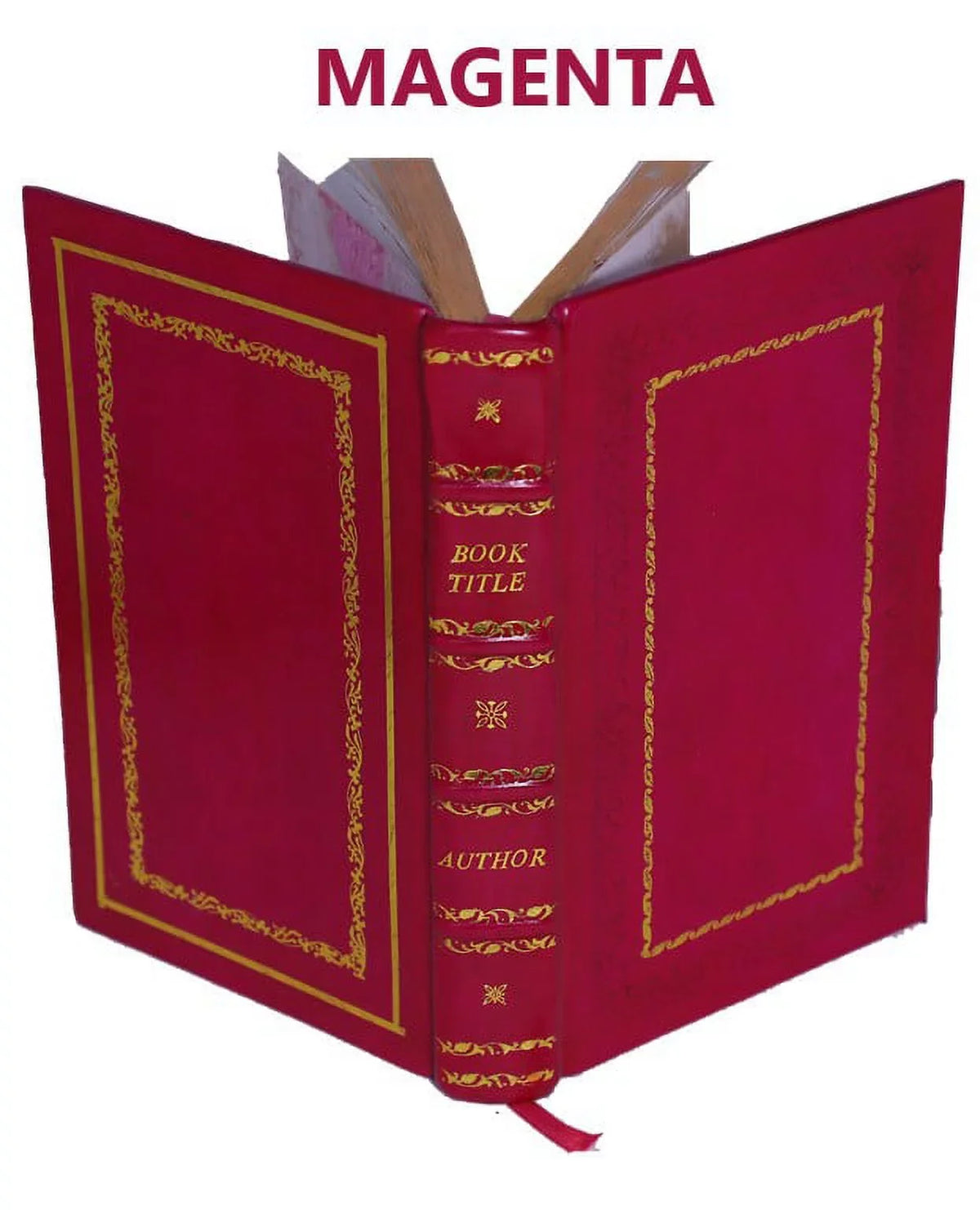 Apparitions; or, the mystery of ghosts, hobgoblins, and haunted houses, developed. Being a collection of entertaining stories, founded on fact ... 1815 [Premium Leather Bound]