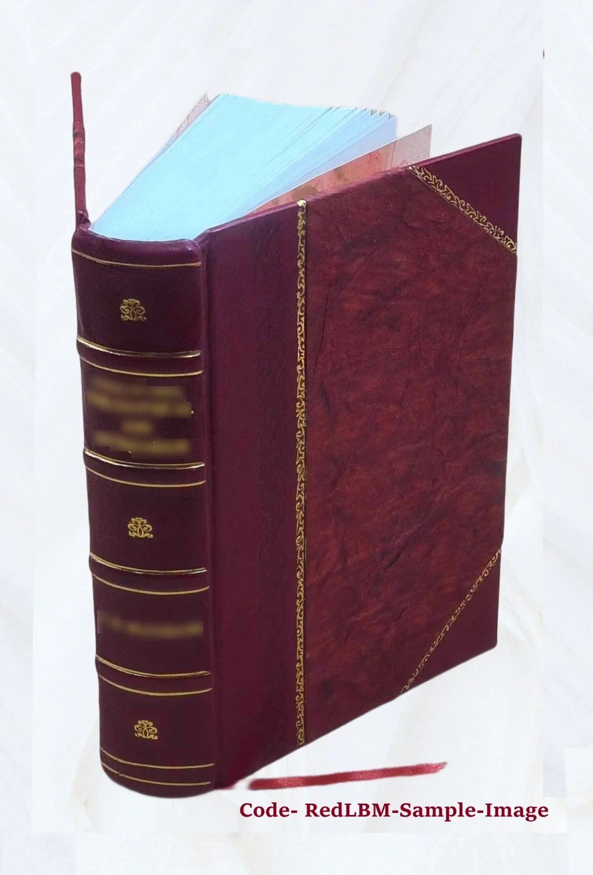 Sanctum Jesu Christi evangelium : secundum Matthaeum, secundum Marcum, secundum Lucam, secundum Joannem ; Acta apostolorum ([Reprod.]) 1531 [Leather Bound]