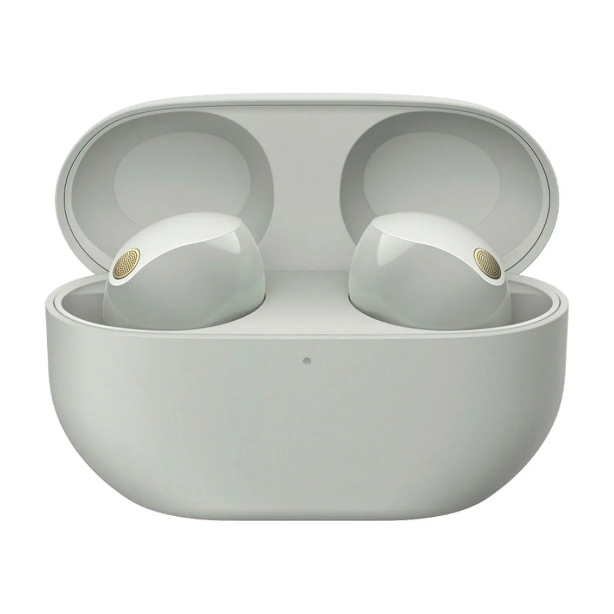 WF-1000XM5 Truly Wireless Noise Canceling Earbuds (Silver) Bundle