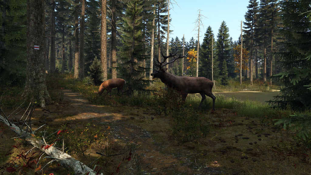 Dayz - PlayStation 4