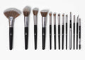 NOPLUS BH Cosmetics Studio Pro Brush Set of 13ps