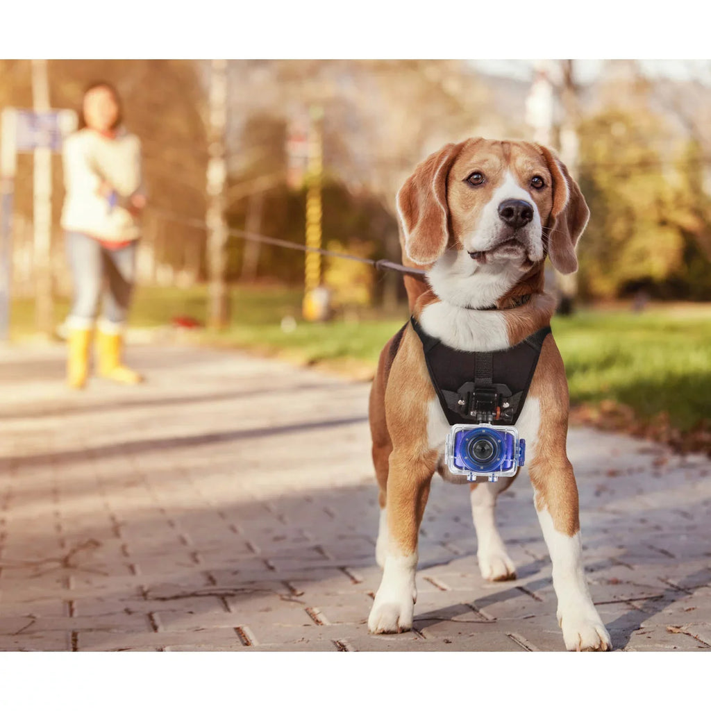 Vivitar 5.1MP ACTION CAMCORDER 720P Teal