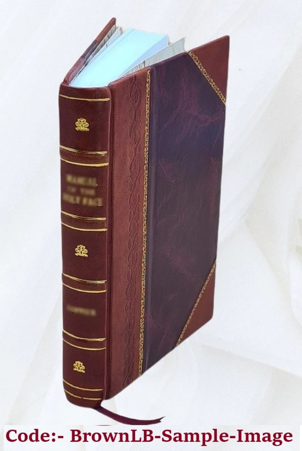 Essai sur l'esprit musical 1904 [Leather Bound]